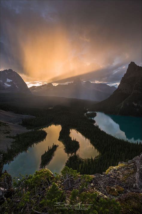 Sunset Lake Ohara And Mary Lakes Yoho Np Bc Canada By Dani Lefrancois