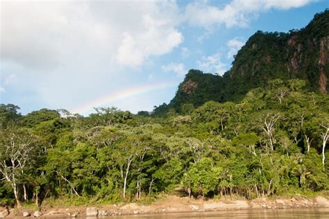 Bolivia Amazonica Un Gran Destino Todo El AÑo
