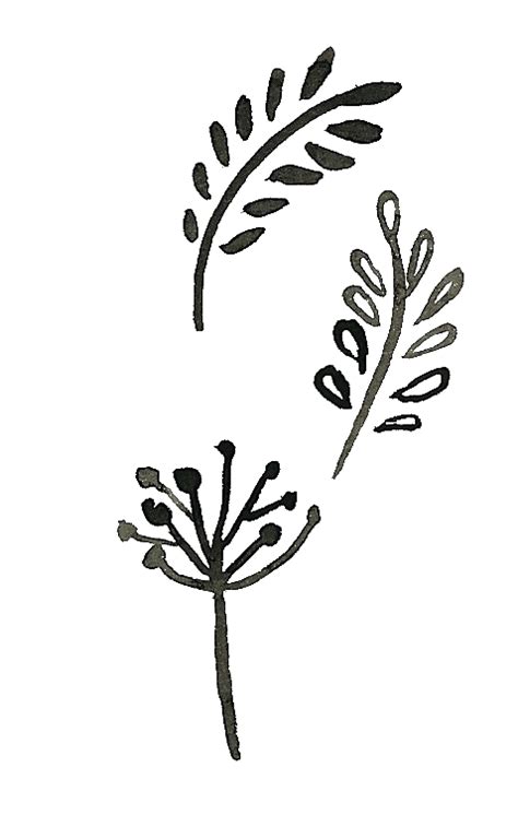 Plant Clipart Doodle Plant Doodle Transparent Free For Download On