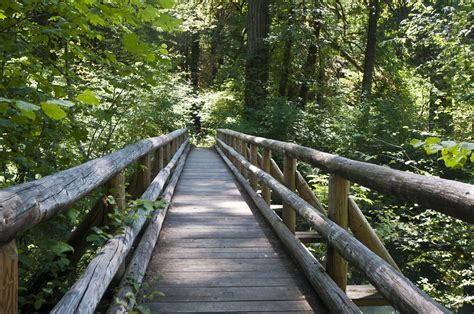 Free Photo Wooden Bridge Bridge Landscape Natural Free Download