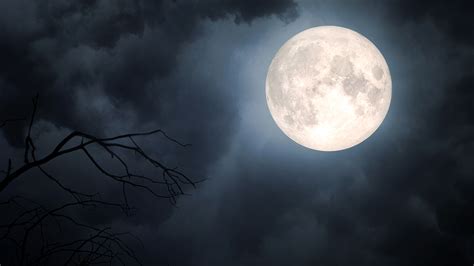 Luna  .Princess Luna.  Princess Luna Photo (23269593)  Fanpop / Listen to луна  soundcloud