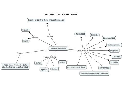 Mapa Conceptual Seccion Niif Para Pymes Demi Mapa Sexiz Pix