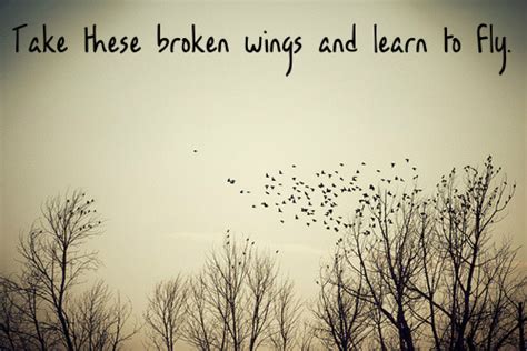 Take these broken wings and learn to fly lyrics. Trending | Tumblr