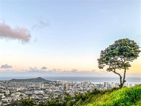 E Hoomau Maua Kealoha — Wandering Veena