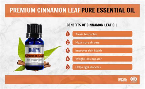Cinnamon Leaf Essential Oil 10 Ml Aromatherapy Oil 100 Pure