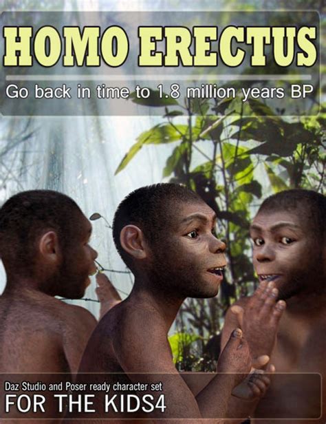 Homo Erectus K4 [documentation Center]