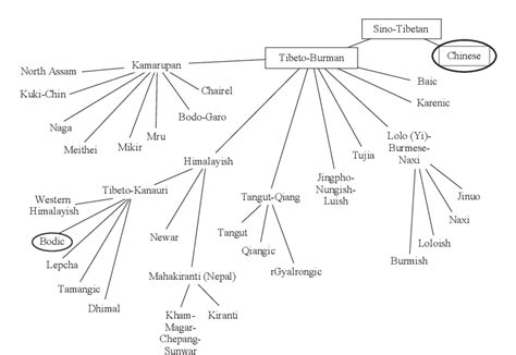 Figure 7 2 From Macrophyletic Trees Of East Asian Languages Semantic