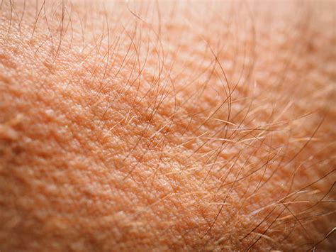 Goosebumps Pictures Images And Stock Photos Istock