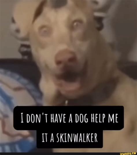 Don T Have A Dog Help Me A Skinwalker Ifunny