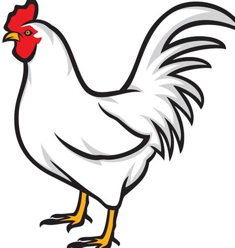Free Simple Vector Chicken Illustration 02 Titanui Clipart Best