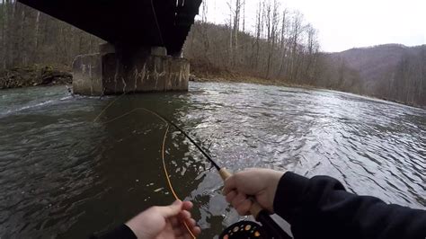 Fly Fishing The Elk River West Virginia Youtube