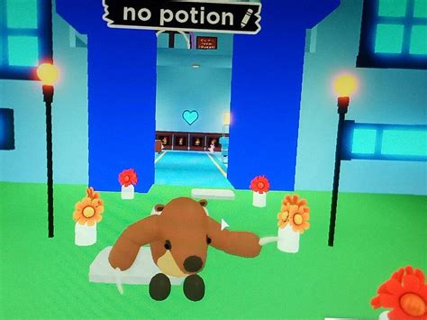 Adopt Me No Potion Ground Sloth Toys And Games Video Gaming In Game