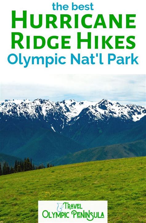 Hiking Hurricane Ridge Is One Of The Best Day Trips To The Olympic