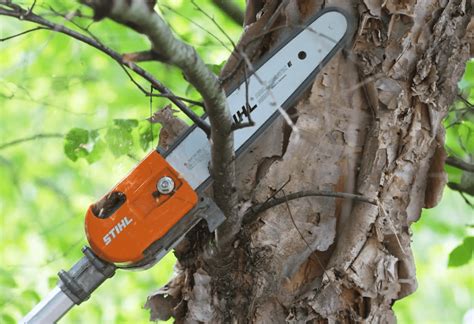 Best Stihl Pole Saws Guide The Forestry Pros