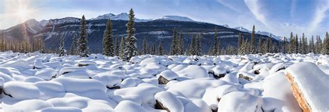 High Resolution Winter Landscape Photos Vast