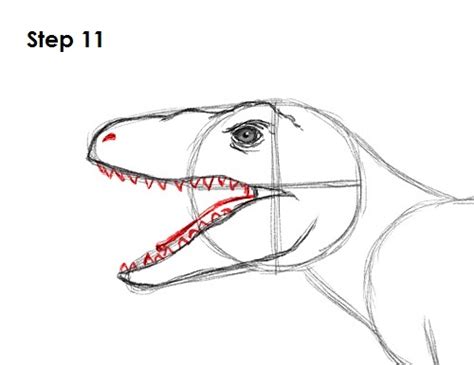 How To Draw A Velociraptor Video And Step By Step Pictures