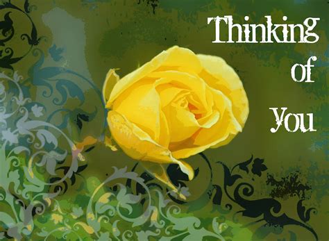 You can use flowers for a pep talk, to show your displeasure, or simply to say i'm thinking of you. just imagine what your garden could be saying to your guests! Thinking Of You Yellow Rose Photograph by Cathie Tyler