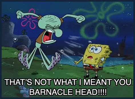 Thats Not What I Meant You Barnacle Head Spongebob Squidward