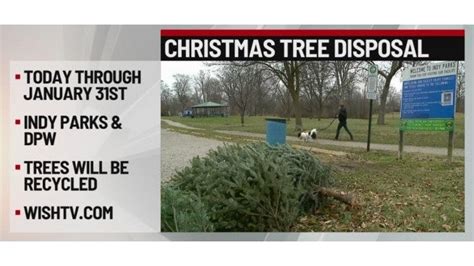 Christmas Tree Recycling Starts In Indy Wish Tv Indianapolis News
