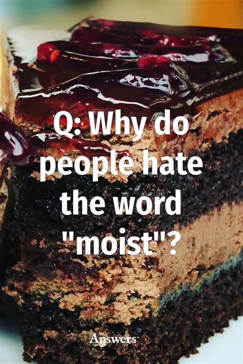 a piece of cake on a plate with the words q why do people hate the word moist