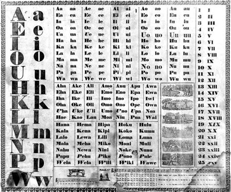 Hawaiian Alphabet Chart Collection Oppidan Library