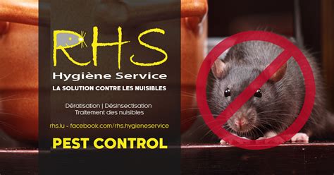 Rhs Hygiène Service Pest Control Rats Dératisation Et Traitement