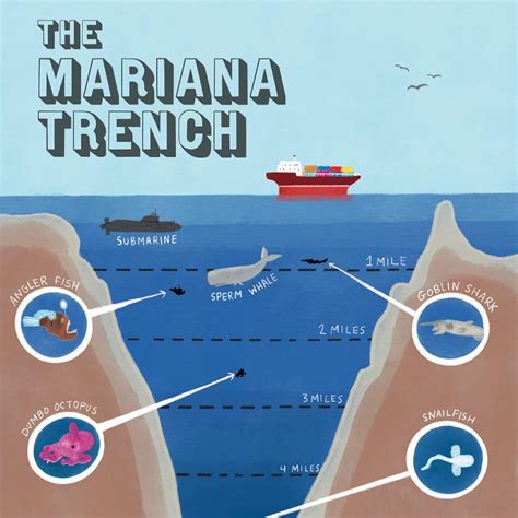 The Mariana Trench Marianas Trench Trench Mariana