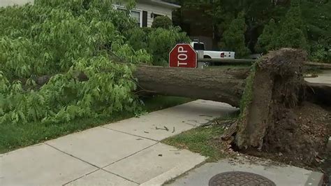 Dangerous Winds Topple Trees Cause Power Outages In Dc Area Nbc4 Washington