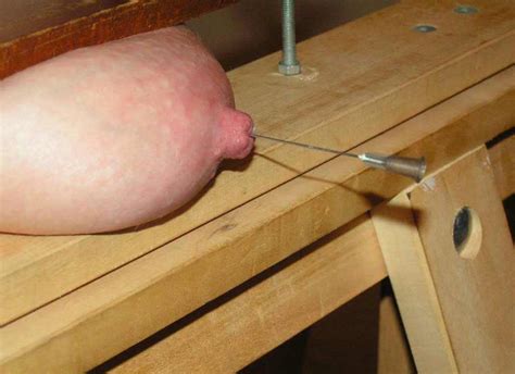 Long Needles In Nipples Torture BDSM Photos
