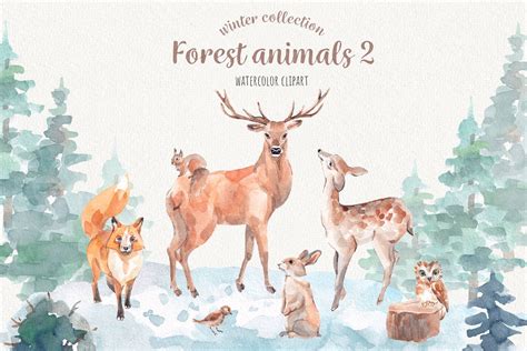 Forest Animals Watercolor Clipart Animal Illustrations ~ Creative Market