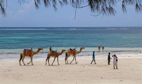 Zanzibar Packages From Nairobi Trips Popular August Tours Route Dates Bersamawisata
