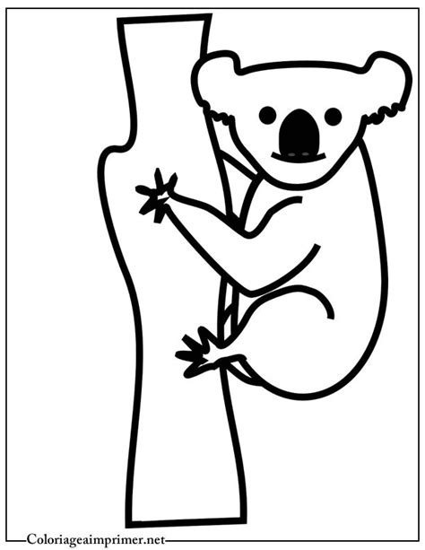 Coloriage Koala Maternelle Dessin Gratuit à Imprimer