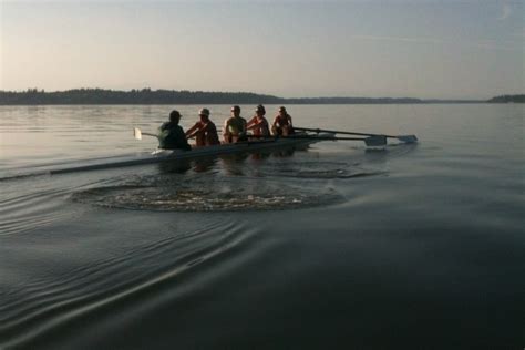 Learn To Scull Or Sweep Row At Olympia Area Rowing Thurstontalk