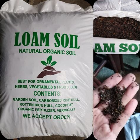 Loam Soil And Plants At Caloocan Home