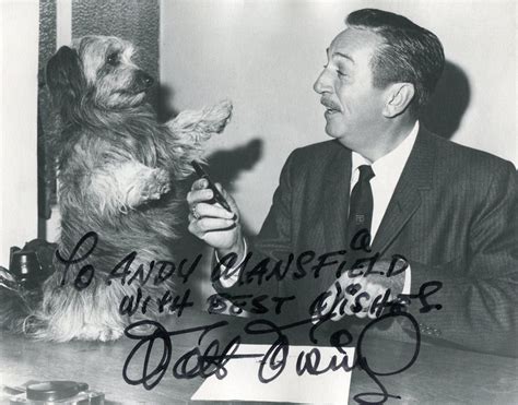 Walt Disney Walts Real Signature Walt Disney Land Disney Dream