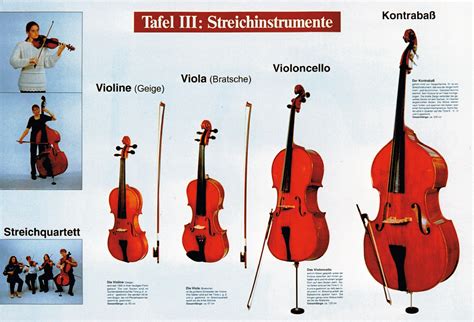 Tafel 3 Streichinstrumente Lms Lehrmittel Service Hspäth Gmbh