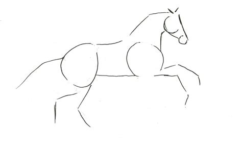 Back end of horse | How To Draw A Horse – How To Draw Horses – Horse