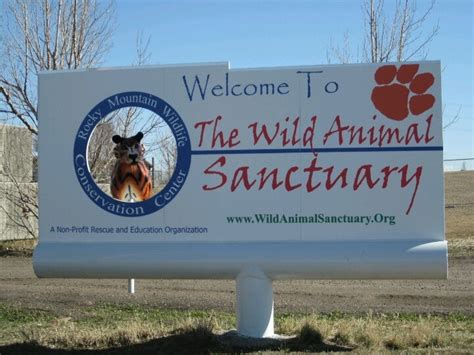 The Wild Animal Sanctuary Keenesburg Coloradoa Great Experience