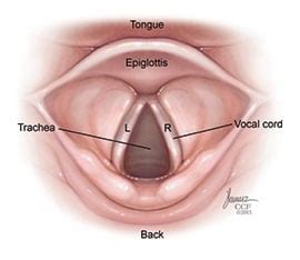 Vocal Cord Nodules Polyps Cysts Treatment Prevention
