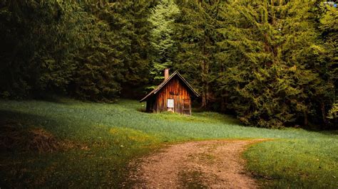 Viewes Path Forest Trees House Nice Wallpapers 2560x1440