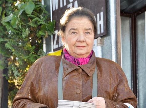 Katarzyna łaniewska serca widzów podbiła rolą babci józi w plebanii. Kogo PiS wystawi do Senatu? Aktorka i smoleńska wdowa na ...