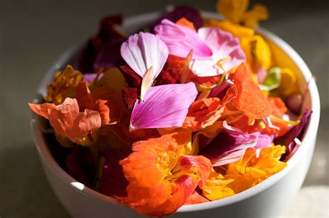 Flowers from the florist or nursery have probably been treated with pesticides or other chemicals. 25 Flowers You Can Eat | Delishably