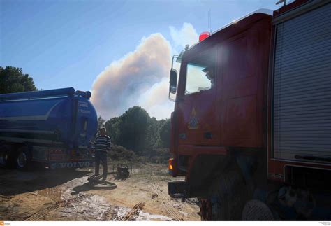 «βούλιαξε» από κόσμο ο κάραβος αλιβερίου στην εκδήλωση με τη γλυκερία εικόνες. Φωτιά τώρα: Στην Κύμη Ευβοίας | Pagenews.gr