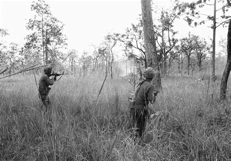 The 50th Anniversary Of The Battle Of Ia Drang Valley Vietnam