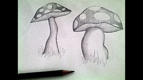Mushroom Pencil Drawing Tutorial Youtube