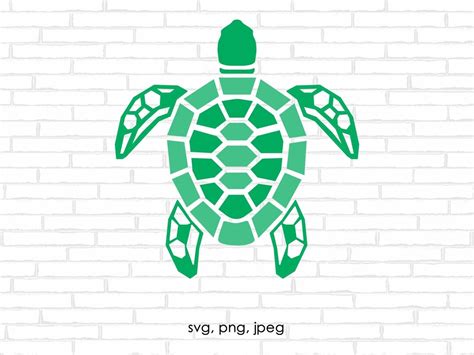 Sea Turtle Svg Leatherback Turtle Sea Turtle Art Turtle Etsy