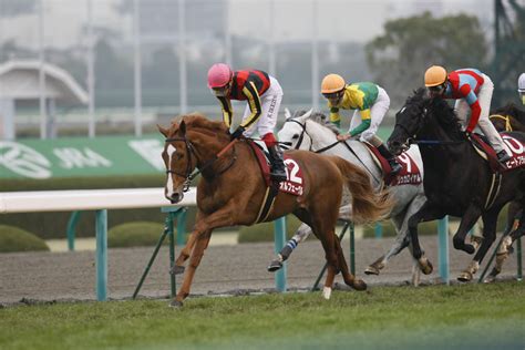 日本へようこそエルフさん。 第4巻 日本へようこそエルフさん。 zip 日本へようこそエルフさん。 rar 日本へようこそエルフさん。 raw 日本へようこそエルフさん。 dl 日本へようこそエ. 競馬写真PLUS - 年度別レース写真 - 2012年競馬写真 - 阪神大賞典(G2)