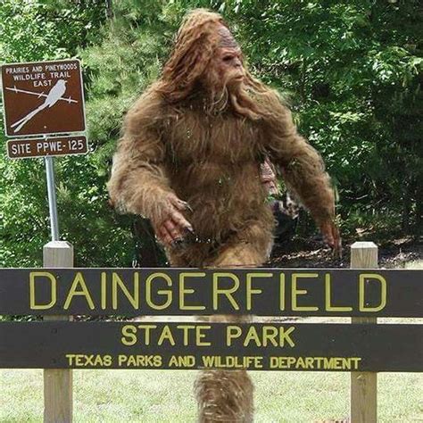 Texas State Park Posts Footage Of Bigfoot Sighting Ahead Of Theme Weekend