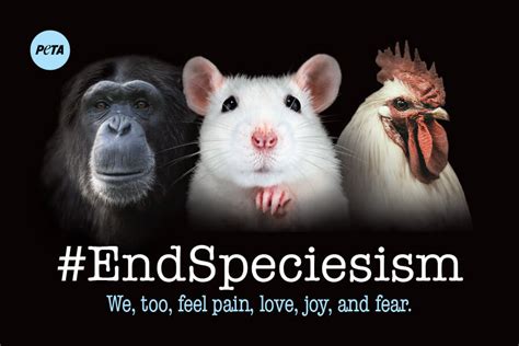 End Speciesism Sticker Bulk Peta Literature