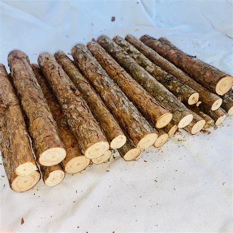 Small Pine Logs Set Of 10 Wood Stickslogs 8 Length Etsy